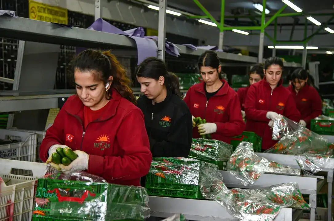 Antalya Hali 64 Ülkeyi Besliyor 7